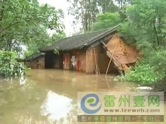 [视频]雷州遭遇特大暴雨袭击 展开紧急大营救