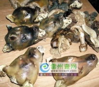 <b>雷州人不满禁食狗肉法规</b>