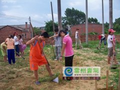 全民创卫，树文明农村