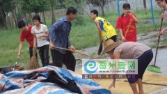 与风雨正分夺秒，为村民抢收稻谷