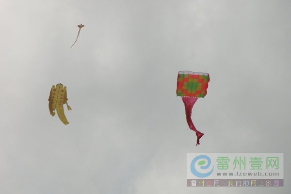 雷州风筝节