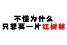 附城孟山村民：我想要一片红树林