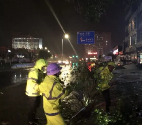 台风山竹登陆广东堪比灾难片！雷州逃过一劫！