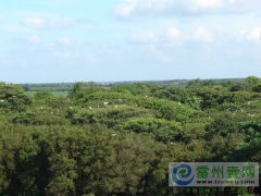 坡正湾入选广东“自然生态类最美乡村”