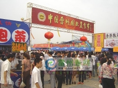 [视频]中国美食节首次在县级城市举办